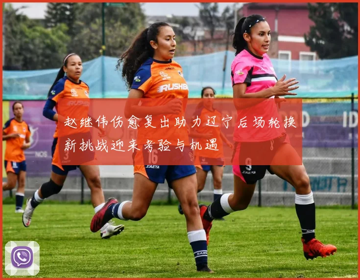 赵继伟伤愈复出助力辽宁后场轮换新挑战迎来考验与机遇