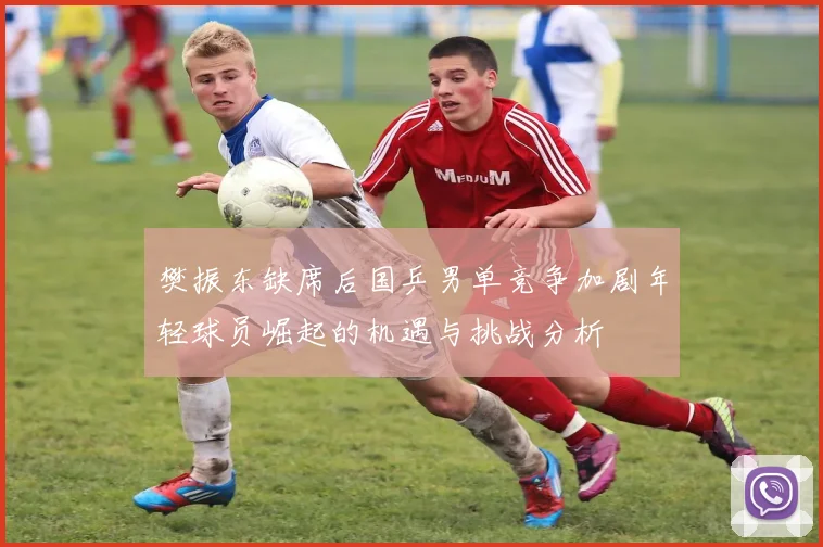 樊振东缺席后国乒男单竞争加剧年轻球员崛起的机遇与挑战分析